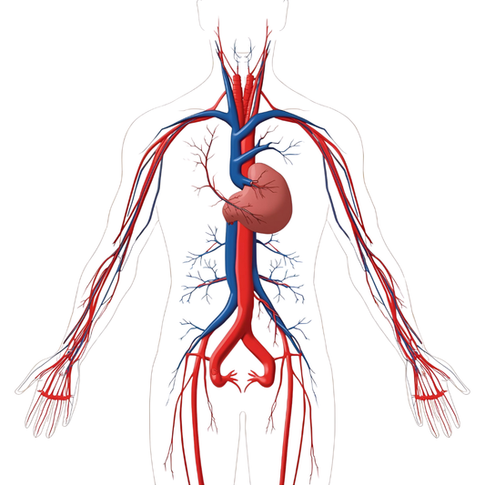 Cardiometabolic Profile